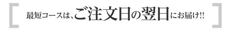 名刺当日出荷